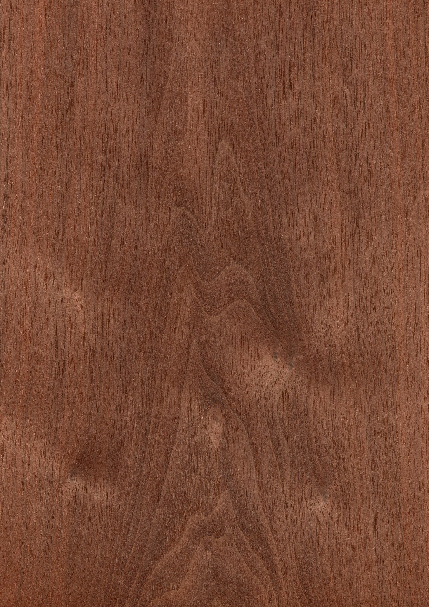 ウォールナット 2つセット 天然木ツキ板シート ウォールナット 濃色系 900mm×1800mm | poke