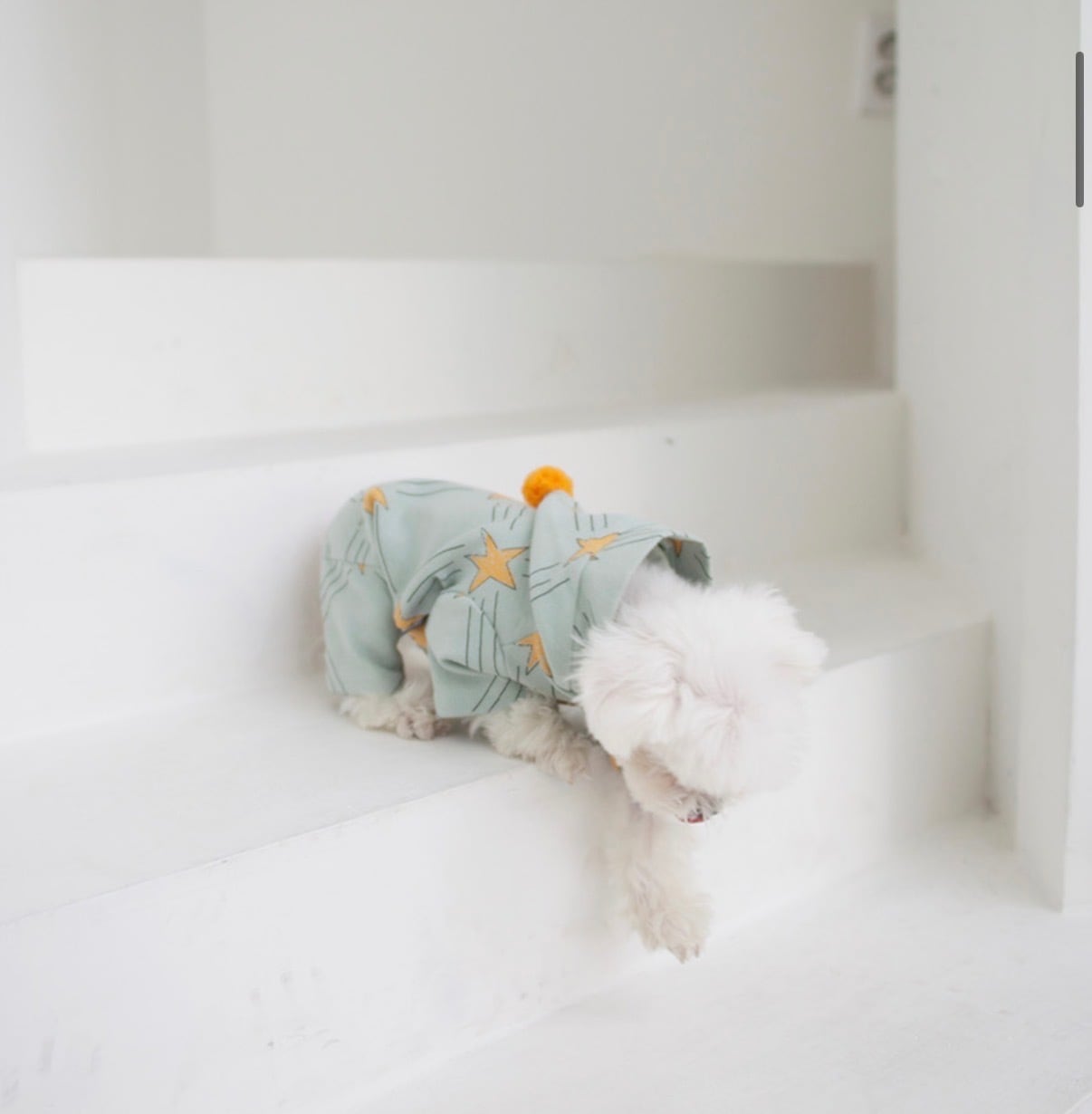 Coco Chien お星さま可愛いロンパース