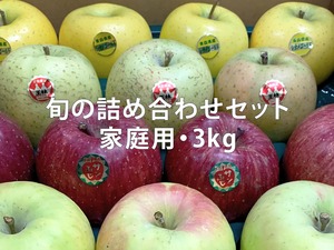 【3kg】旬のりんご詰め合わせ・ご家庭用