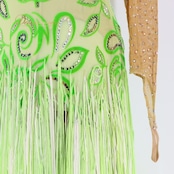 社交ダンス 衣装 チャコット Chacott ラテン ワンピース ラテンドレス 緑 黄緑 ベロア フリンジ グリーン系 長袖 デモ 競技 ダンス パーティ 発表会 キラキラ おしゃれ おすすめ かわいい 女性用 日本製 サイズM 競技用 衣装デザイン