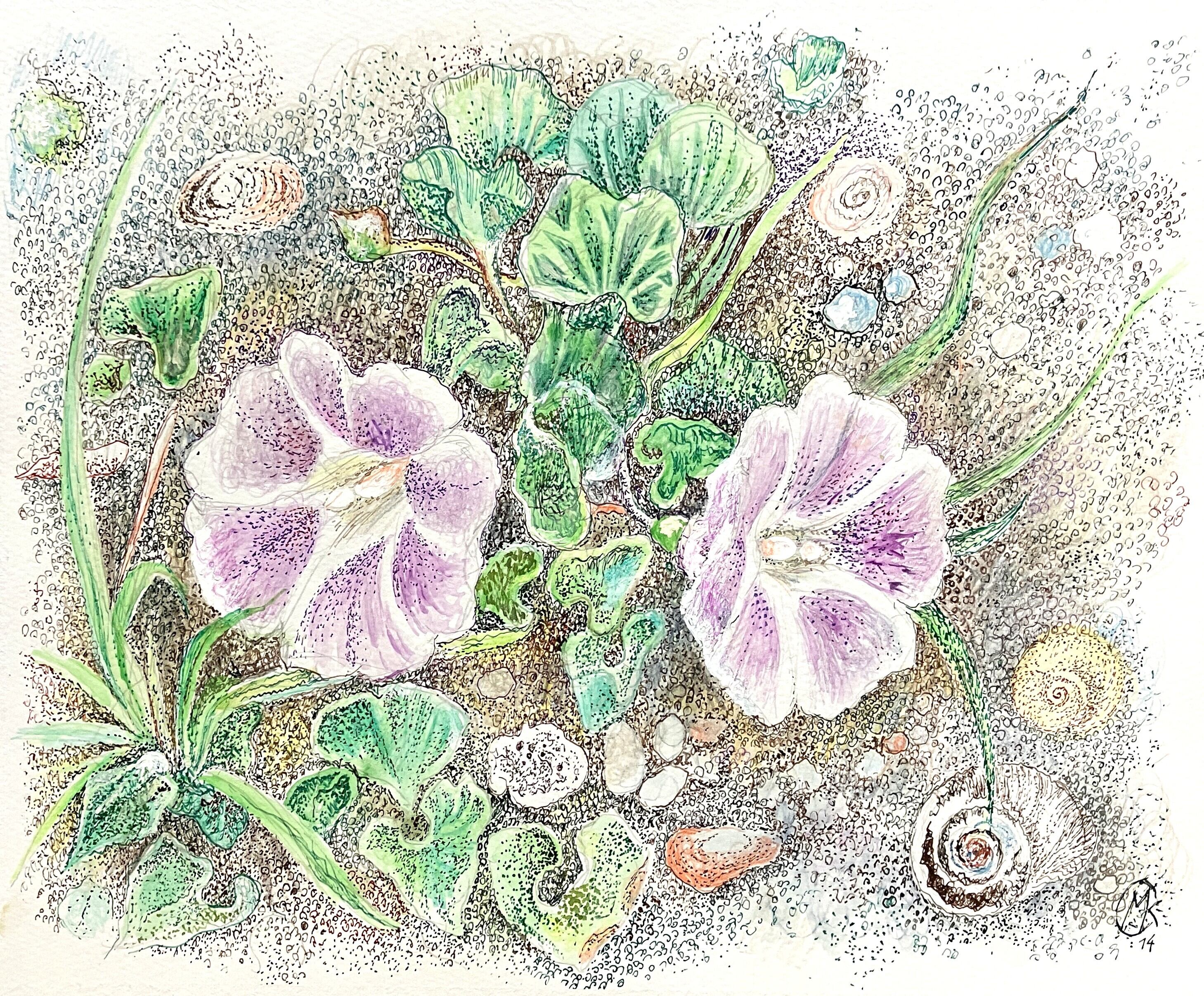 浜昼顔 | Bluhen am Strand