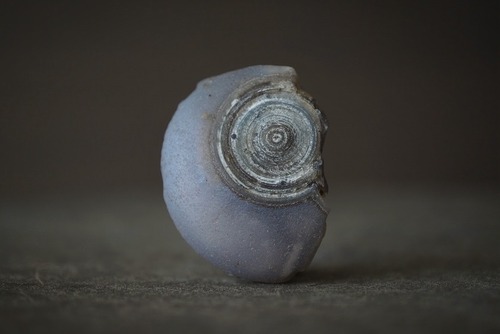 ゴビアゲート Gobi Agate 1450