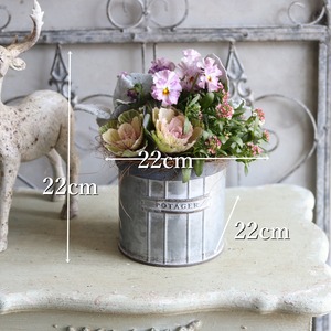 冬から春に楽しむ寄せ植え　ビオラティアードのピンクの小さなお正月　　お正月にオススメ　届いてすぐ玄関に飾れる 　プレゼントにもオススメ　