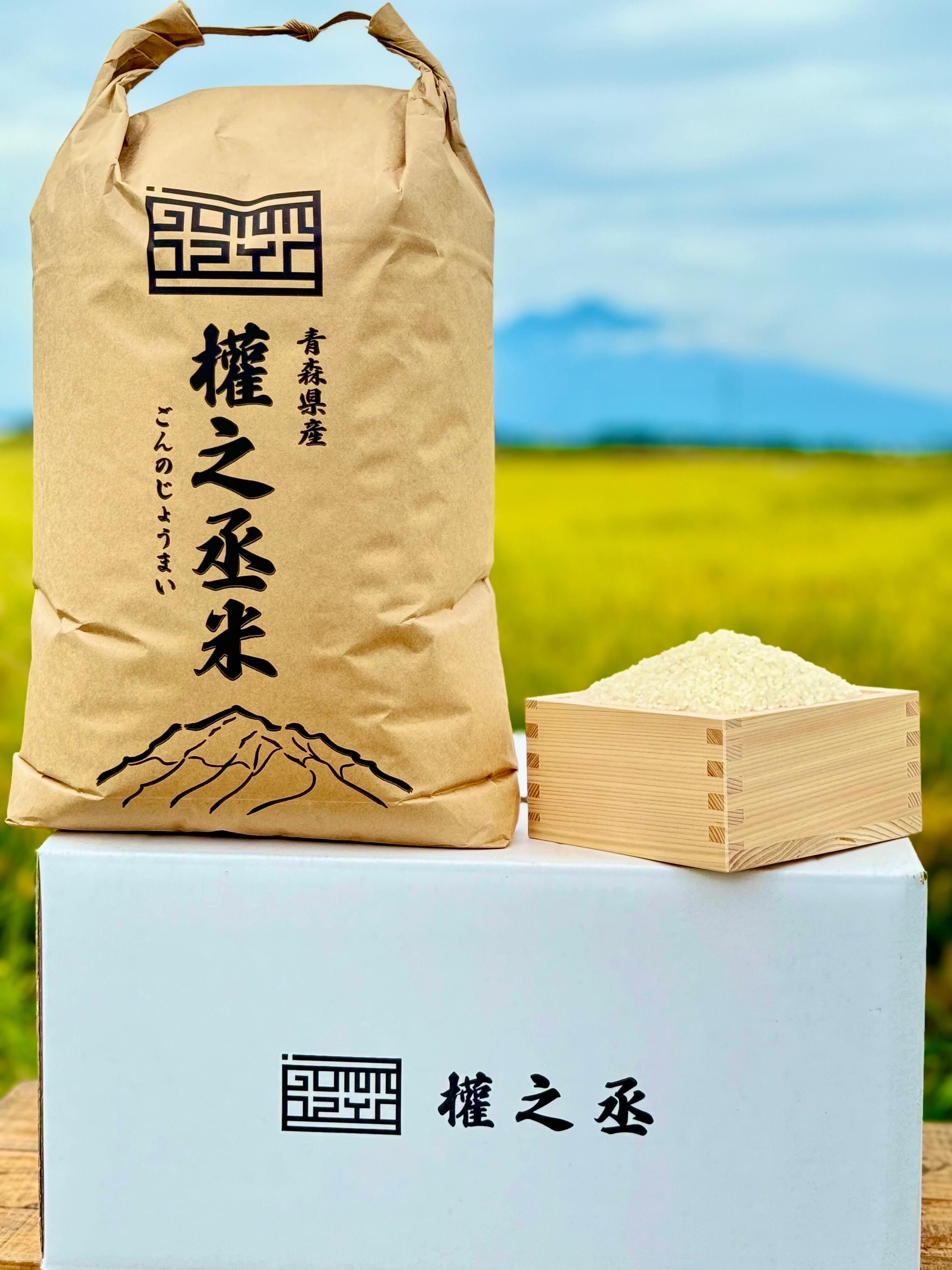 特別權之丞米【減農薬はれわたり】白米10kg