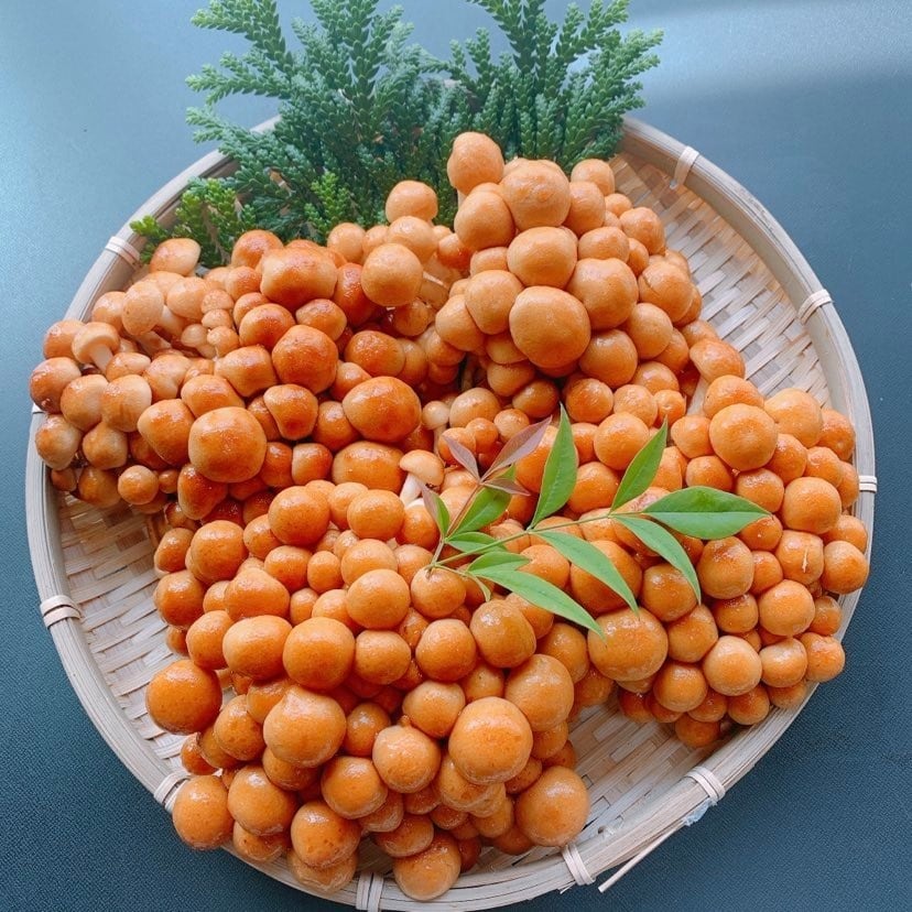 9970706fd4d6cc53f640471d28847d