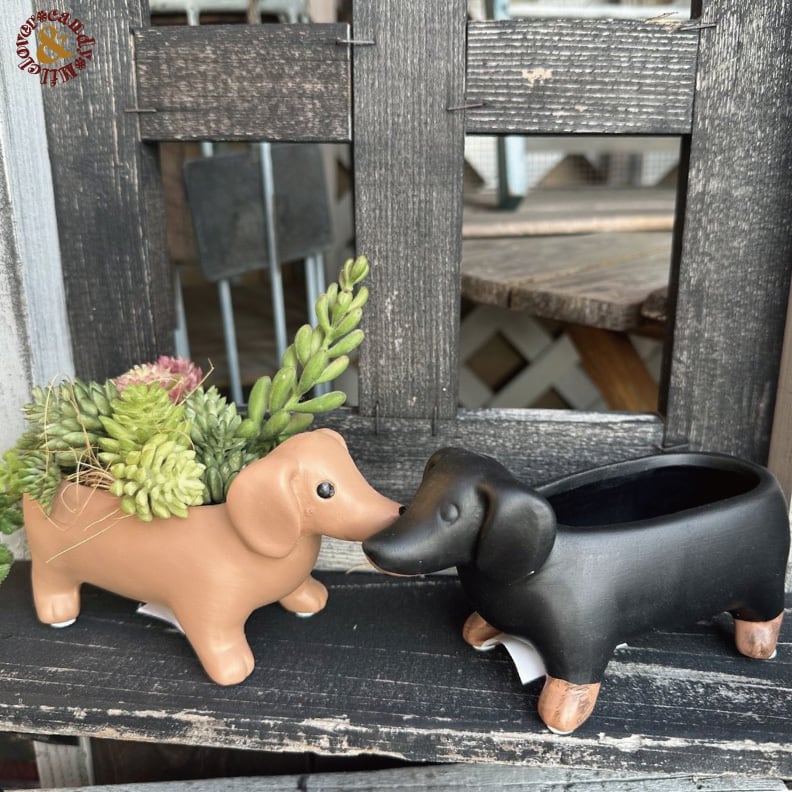 ちいさなダックスのテラコッタポット｜多肉植物 寄せ植え用 犬型