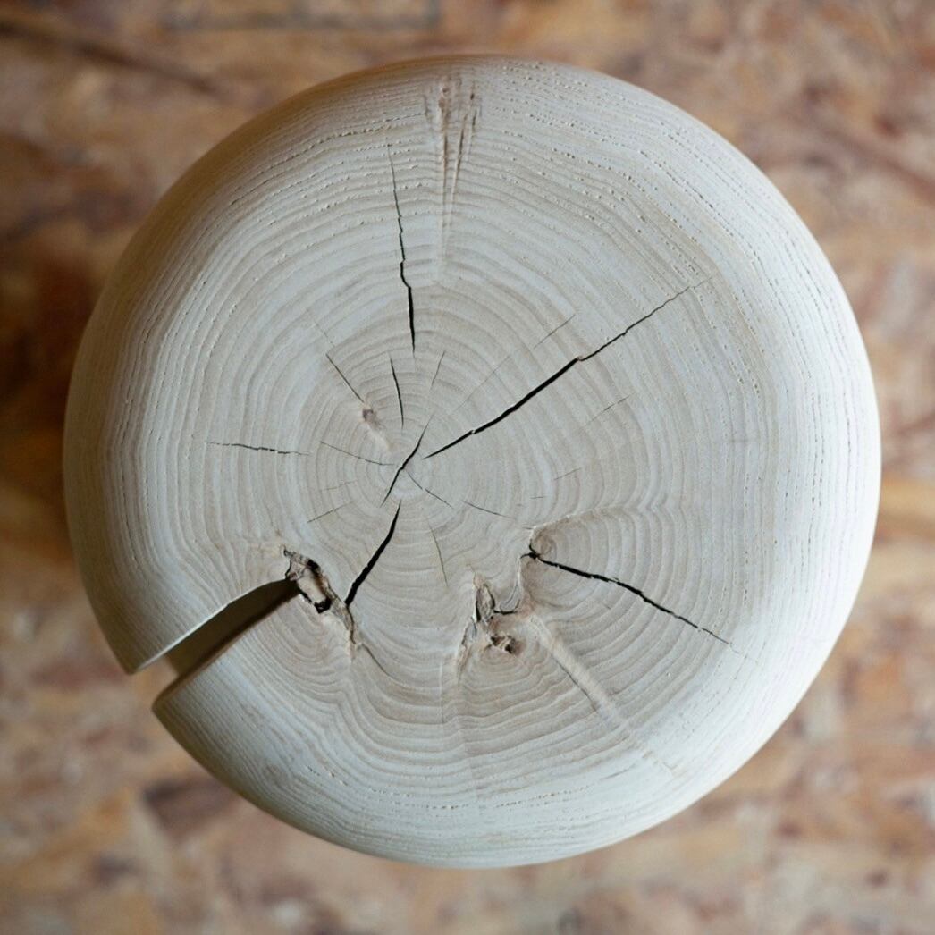 欅（ケヤキ）原木直径80cm、長さ7mの大木