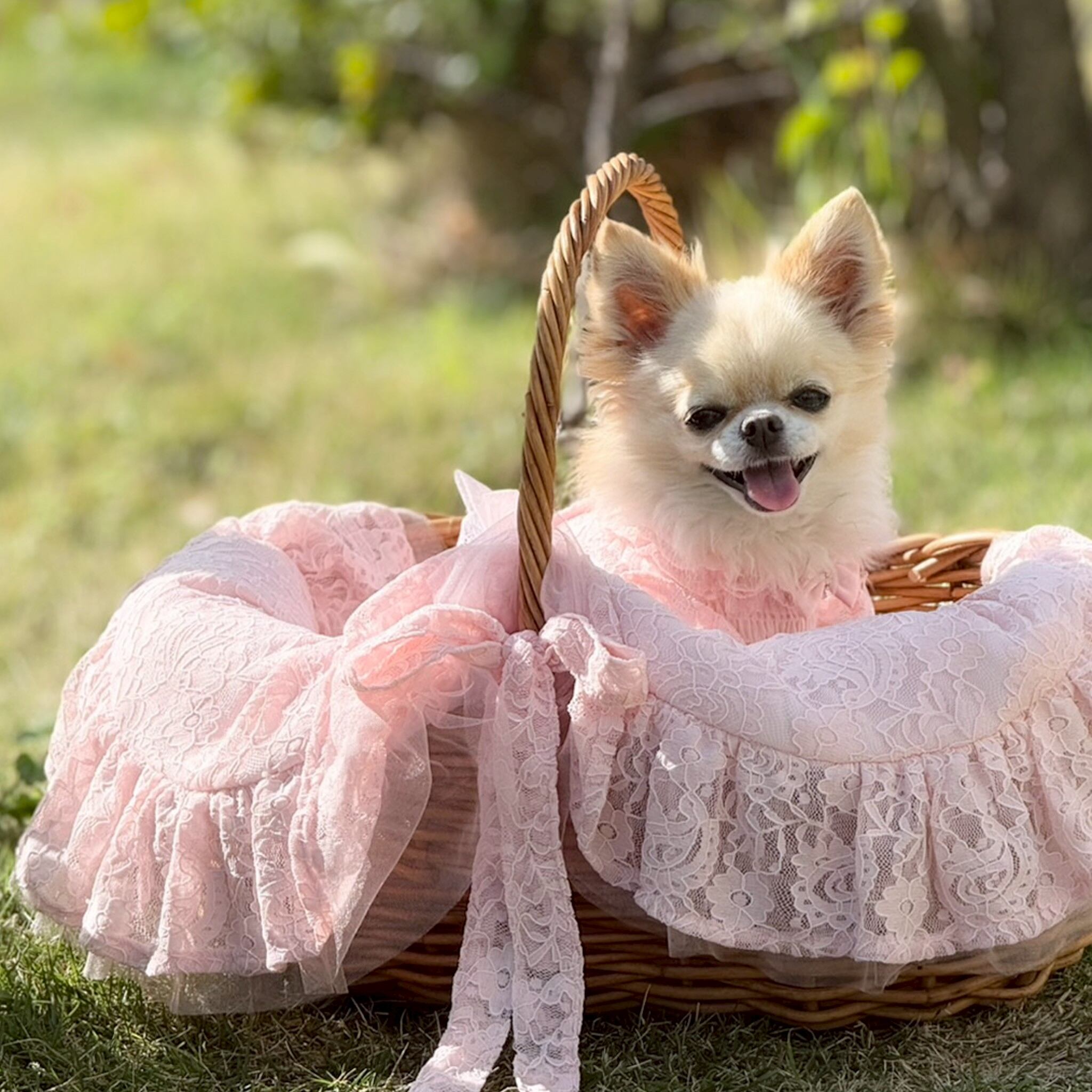 カフェマット レース レースの犬のカフェマットのおすすめ人気商品一覧