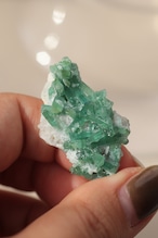 トルマリン「森の煌めき」Tourmaline | 天然石 原石 鉱物 パワーストーン |TM-A-002