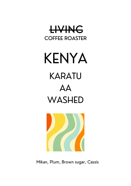 【100g】 Kenya Karatu AA Washed 画像