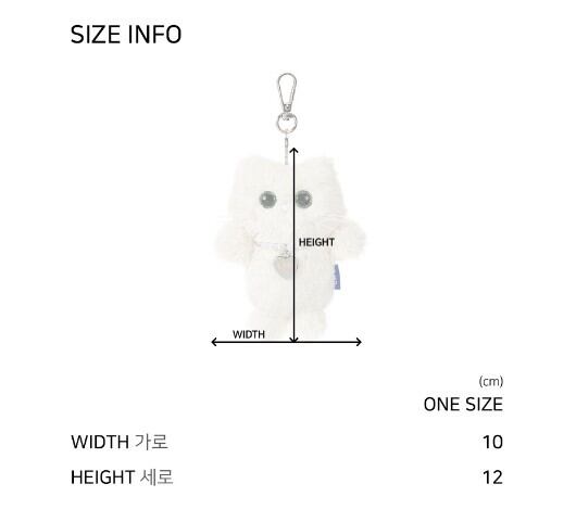 ☆RIIZE ショウタロウ 着用！！【LMR】미니 샹뇽이 키링 - GREY