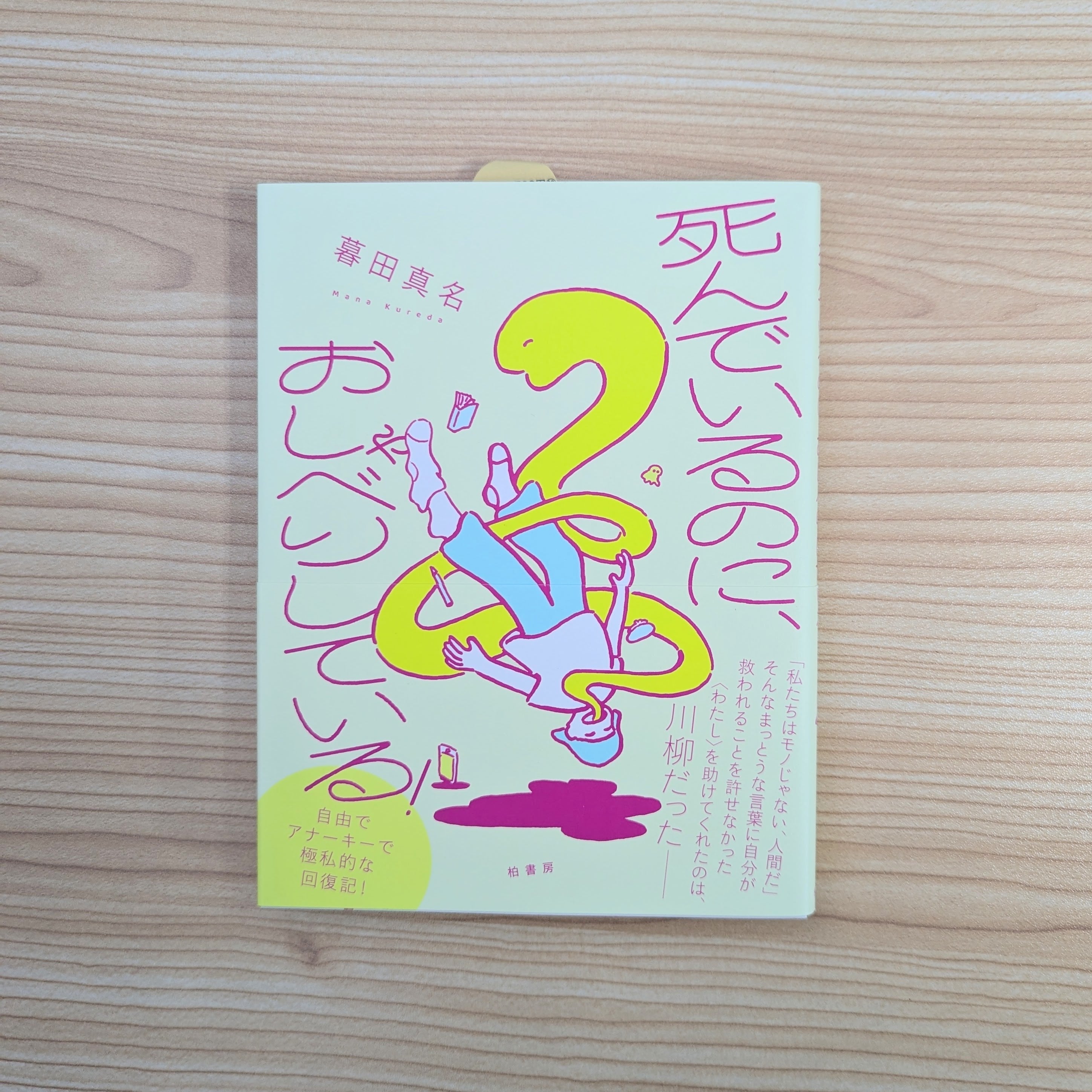 古本】ダイブ・イン・シアター｜柴田聡子 | 本屋・文日和
