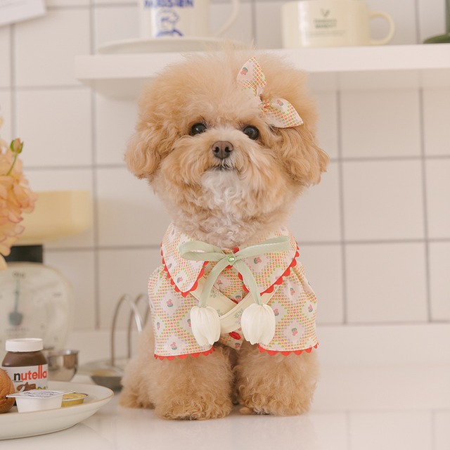 〈即納アイテム〉Rolling PEPE パステルポップコーン ブラウス（オレンジ）