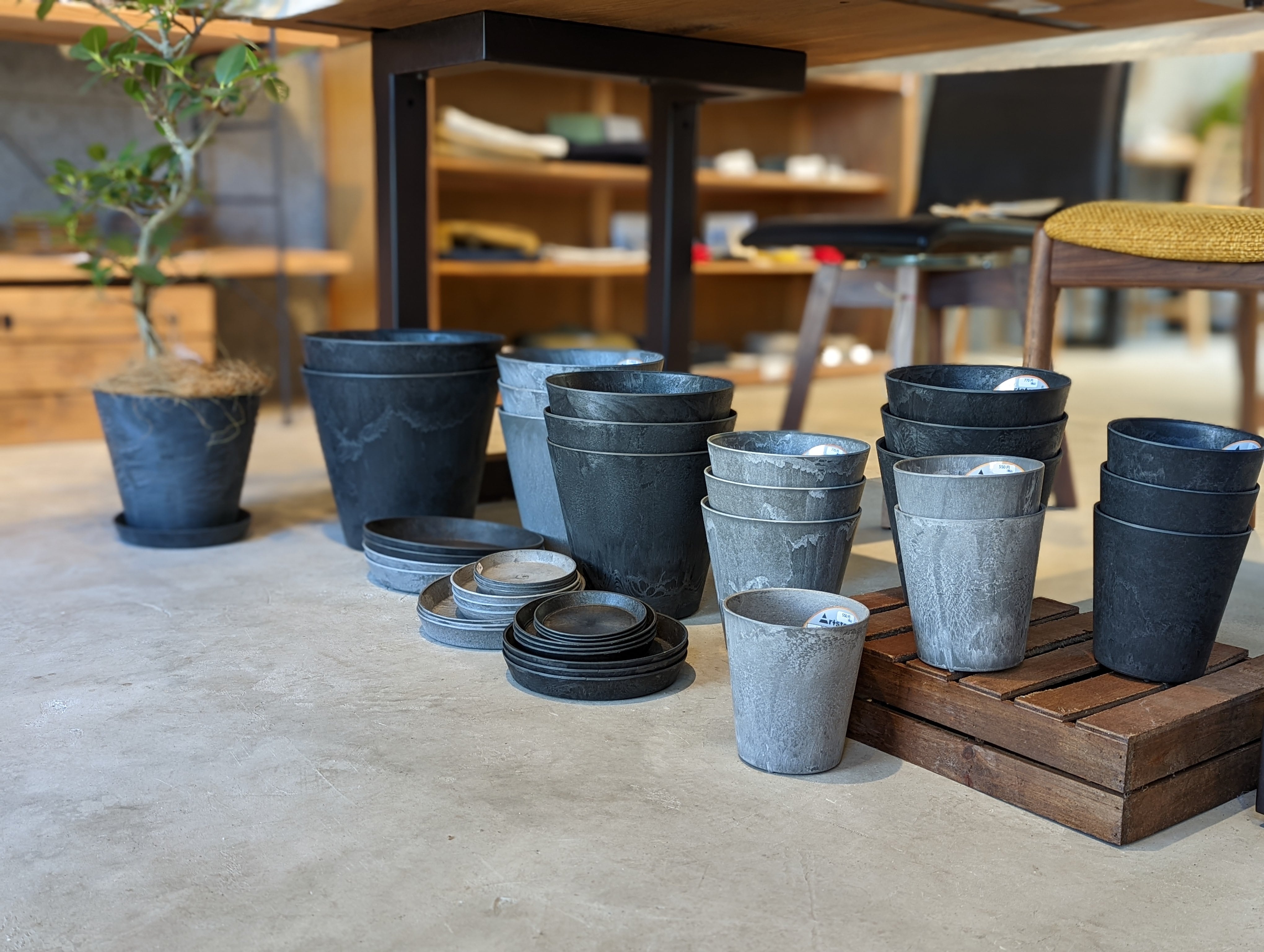 ART STONE【鉢・S】(7〜8号) | amabro | inoya | Basic Life Store