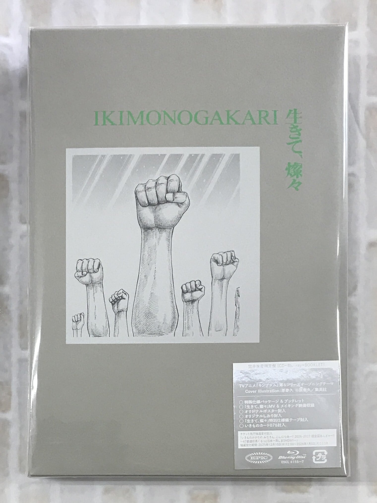 ちゃんみな/Never Grow Up/初回限定盤(CD+DVD) | 最北のCD