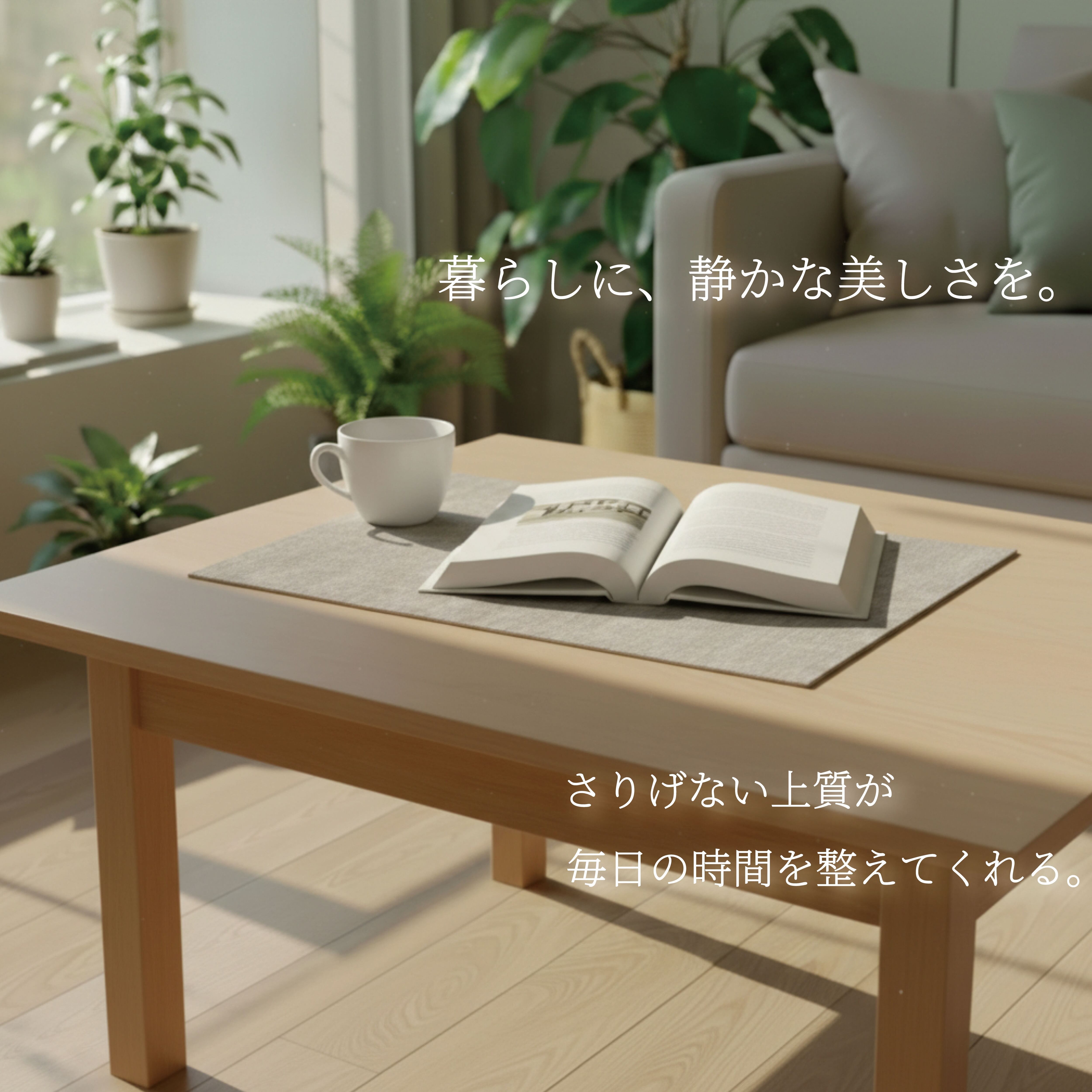 ランチョンマット 2枚セット (チャコールブラック) | Version3 Store