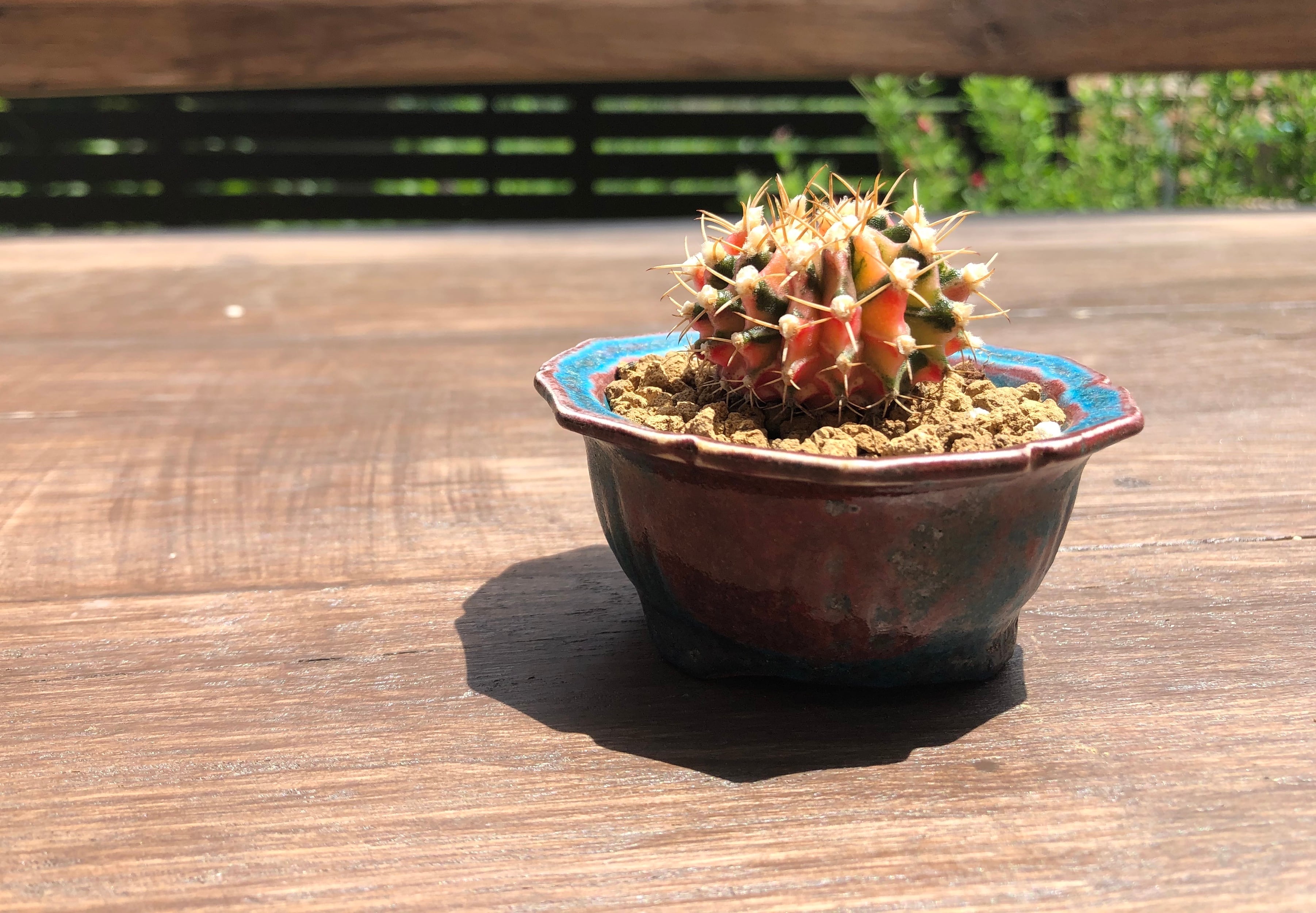 9983d4d3e74f9585a1a787502f93fb