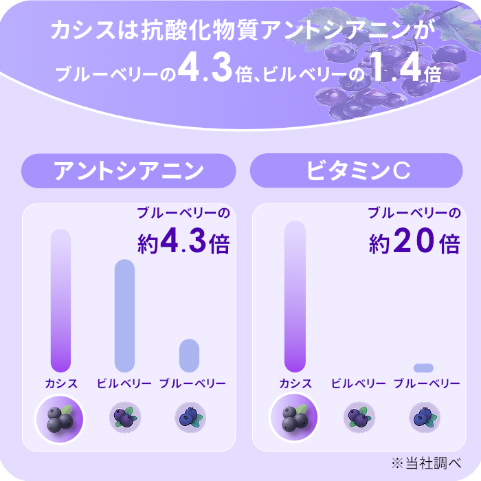BMP カシスパウダー 1kg (100g×10)アントシアニンがビルベリーの1.4倍! ブルーベリーの4.3倍 (カシス濃縮果汁粉末) カシスパウダー  カシス サプリ カシス パウダー ブラックカラント カシスパウダー 粉末