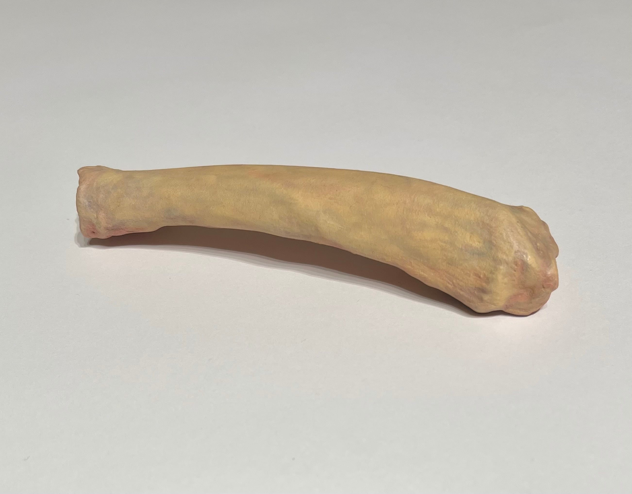 Bones_c #2