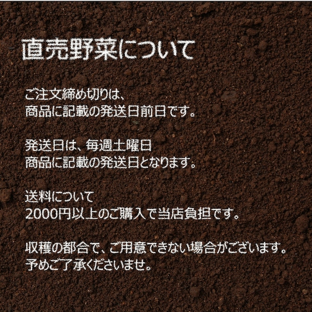 10月の朝採り直売野菜 ： ネギ　3～4本　新鮮な秋野菜　10月17日発送予定