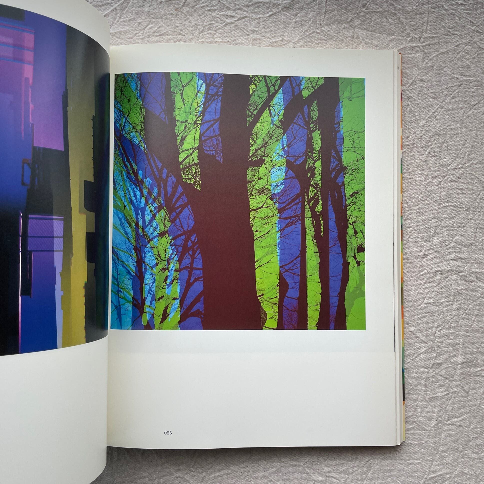 めぐりあう色とかたち : Composition 石元泰博 色とかたち 石元泰博 写真集 Color and Form YASUHIRO ISHIMOTO - 古本
