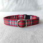 ボーダーチェック（レッド）