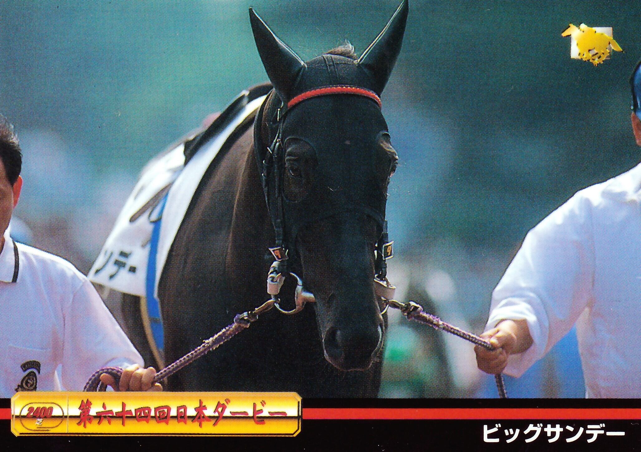 アグネスフライト：第67回 東京優駿(日本ダービー)出走馬