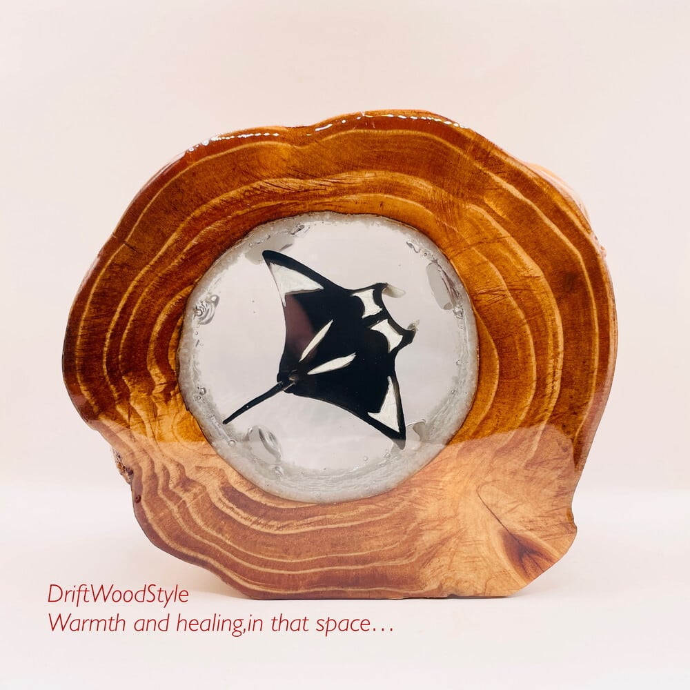 流木インテリア専門 DriftWoodStyle