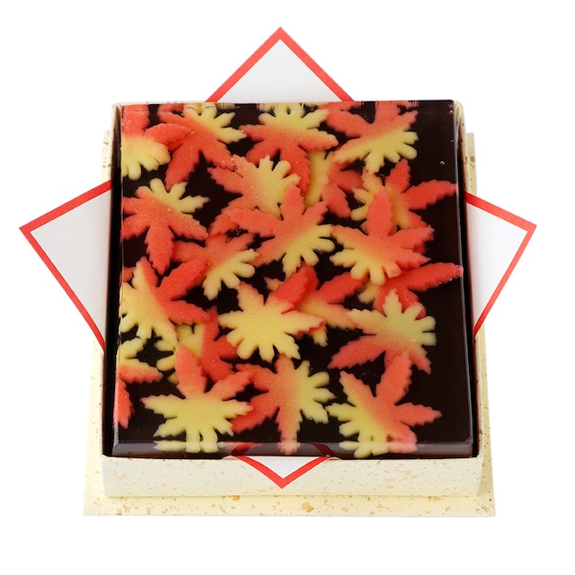 阪神タイガース 祝 日本シリーズ進出 麩焼煎餅「猛者の虎」 16枚入 阪神タイガース 祝 日本シリーズ進出 麩焼煎餅「猛者の虎」 16枚入