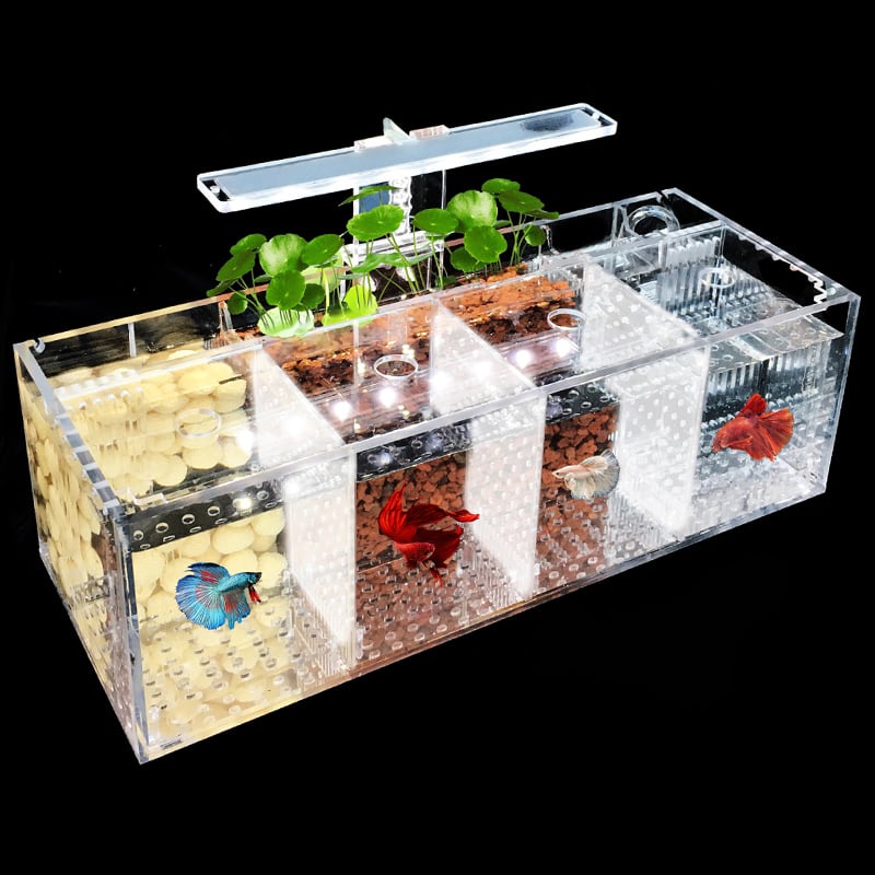 ベタのアクリル水槽2個セット 水槽 アクリル ベタ」の人気商品一覧