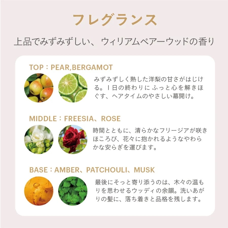 コアプレックス シャンプー400ml / ESTABLISHED（エスタブリッシュ