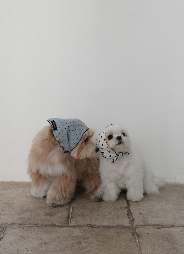 〈 予約アイテム 〉OHDIBS /Tiny Love Scarf