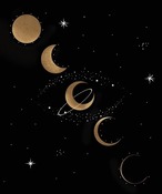 【otsukimi2021】お月見クーポン