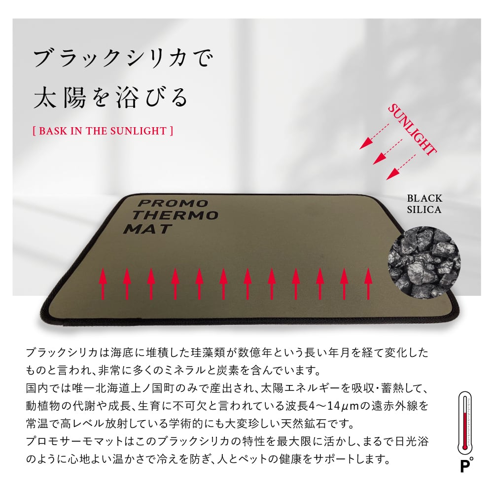 Teco☆Teca PROMO THERMO MAT テコ☆テカ プロモサーモマット ブラック
