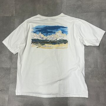 DF76 Tシャツ ノーマンロックウェル ノースイミング アートT 白T 90s