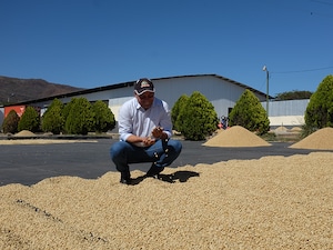 ニカラグア　ブエノスアイレス農園　マラカツーラ　ウォッシュド　200g