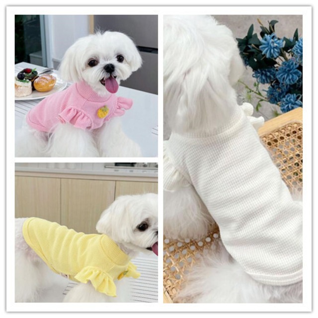 【予約】№1101915 フリル袖のトップス