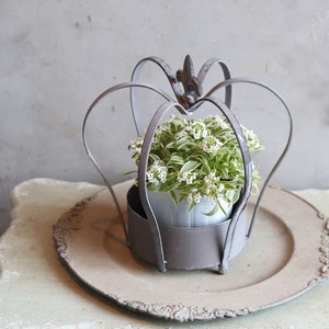 スーパーアリッサム　フィロスティナイト　小さなお花　横にひろがる　