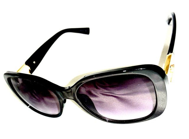 scumputer sunglasses 16003　#BK/SMHF