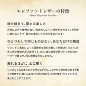 ロングビルフォールド エレノア エレファント