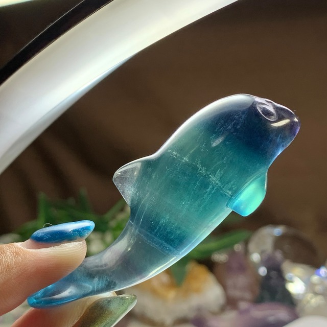 5.癒☆可愛いフローライトイルカさん