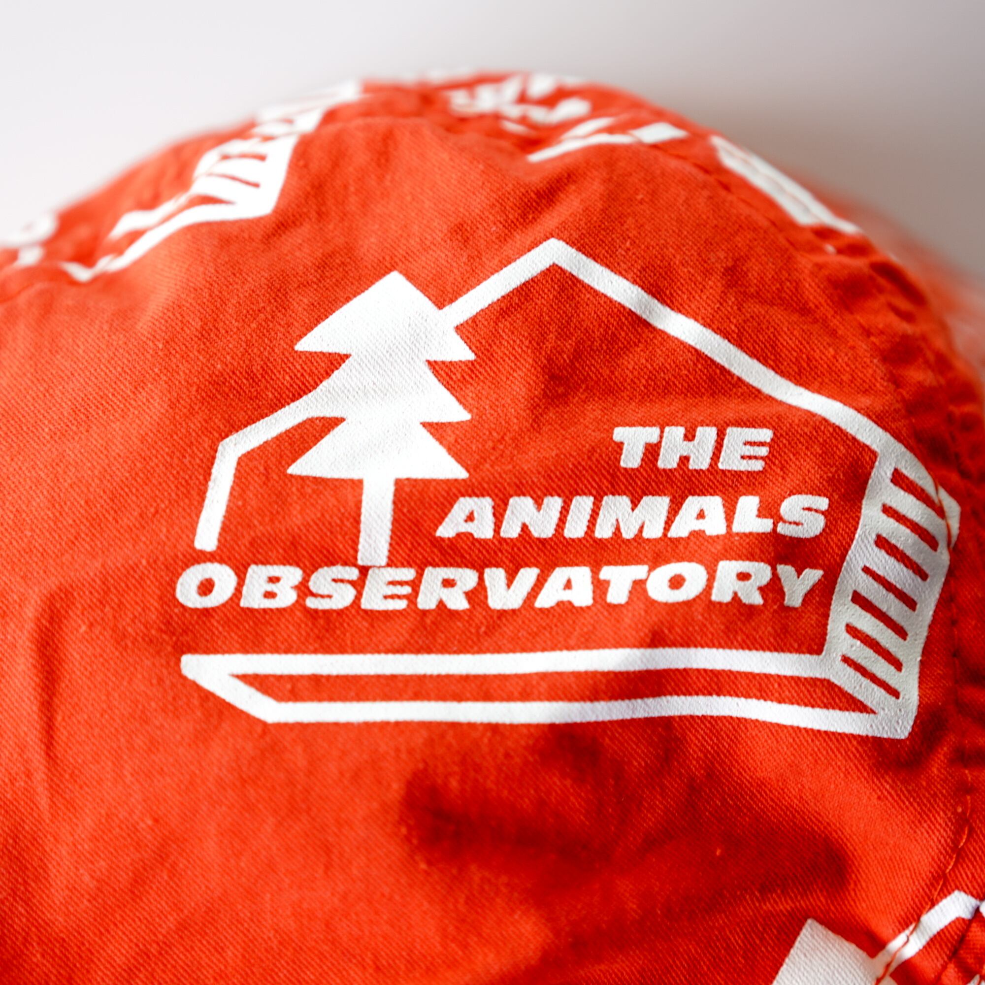 THE ANIMALS OBSERVATORY 23SS / STARFISH KIDS CAP  