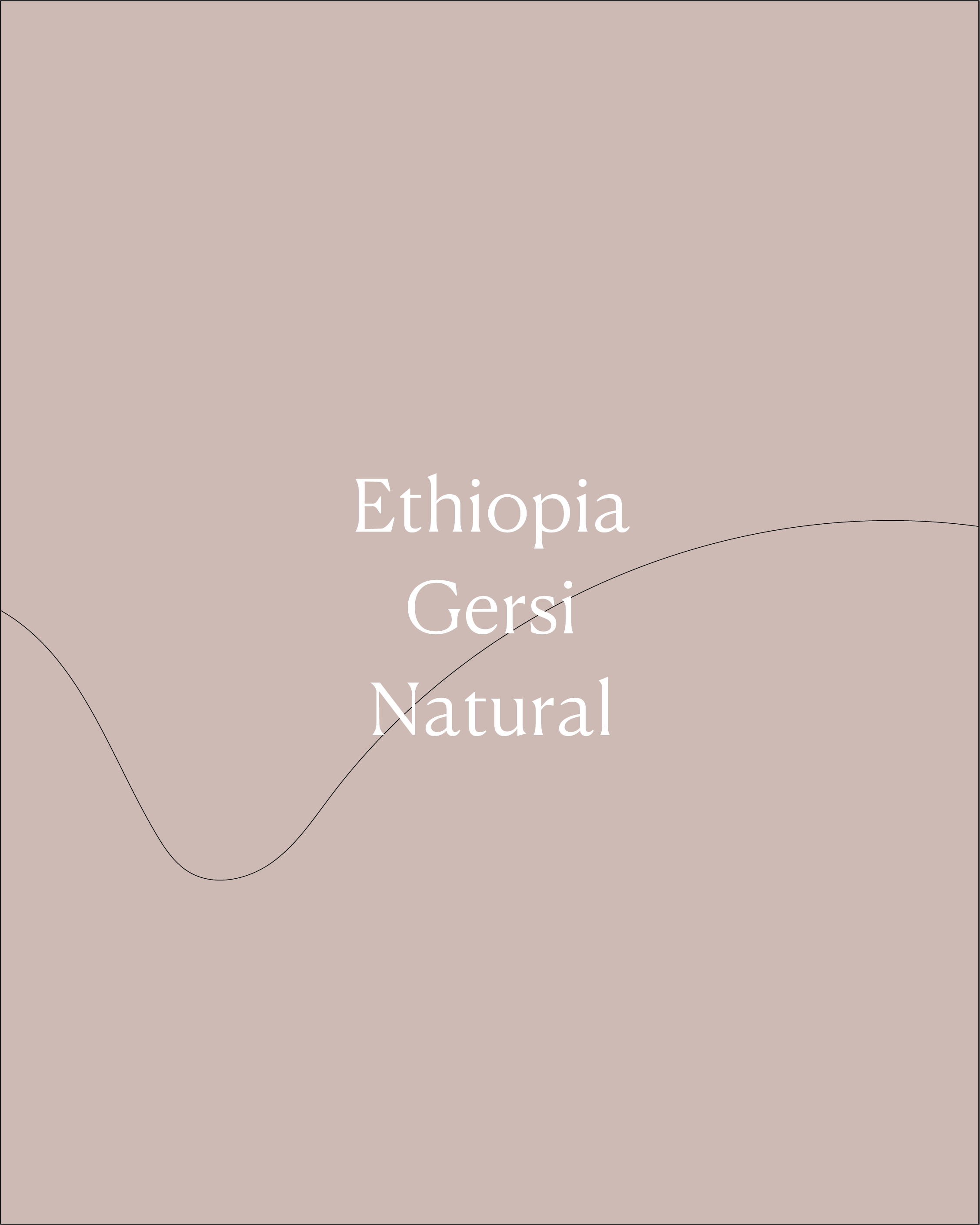 Ethiopia Gersi Natural | 400g
