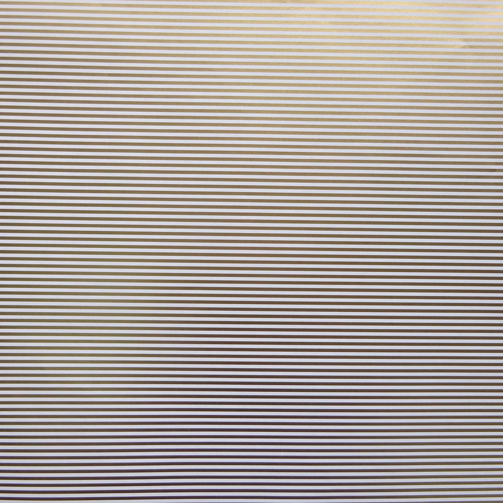ラッピングペーパー 包装紙 9891-60 (E-56) 約50cmx70cm スイス製