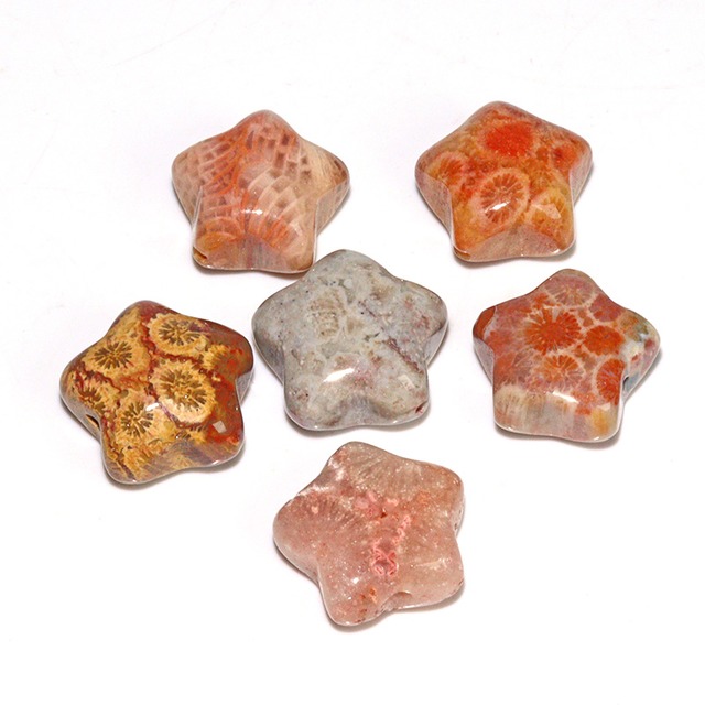 〔Z149-1〕フォッシルコーラル 星形 ビーズ 6個 粒売りFossil coral