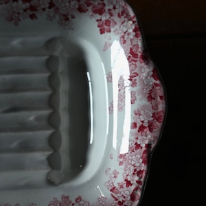 SARREGUEMINES Asparagus Plate / サルグミンヌ アスパラガスプレート〈 フランス食器・皿・フランスアンティーク・アンティークプレート・ブロカント・ヴィンテージ 〉114161