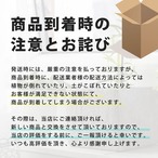 ねじりパキラ 育てやすい大型サイズ 8号 高さ120cm 観葉植物 受け皿付き