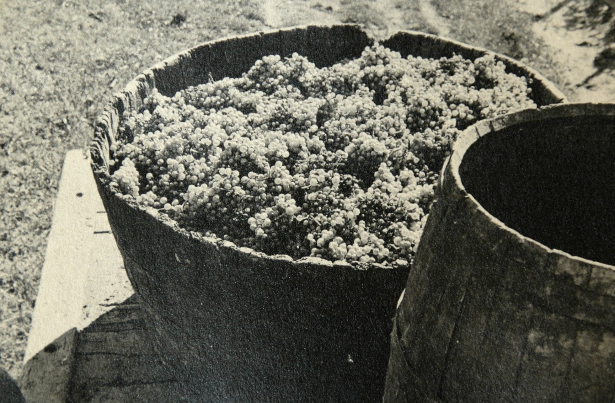 【アジィエンダ・アグリコーラ・ディ・レナルド 】リボッラ・ジャッラ ブリュット メトド・クラッシコ 2022