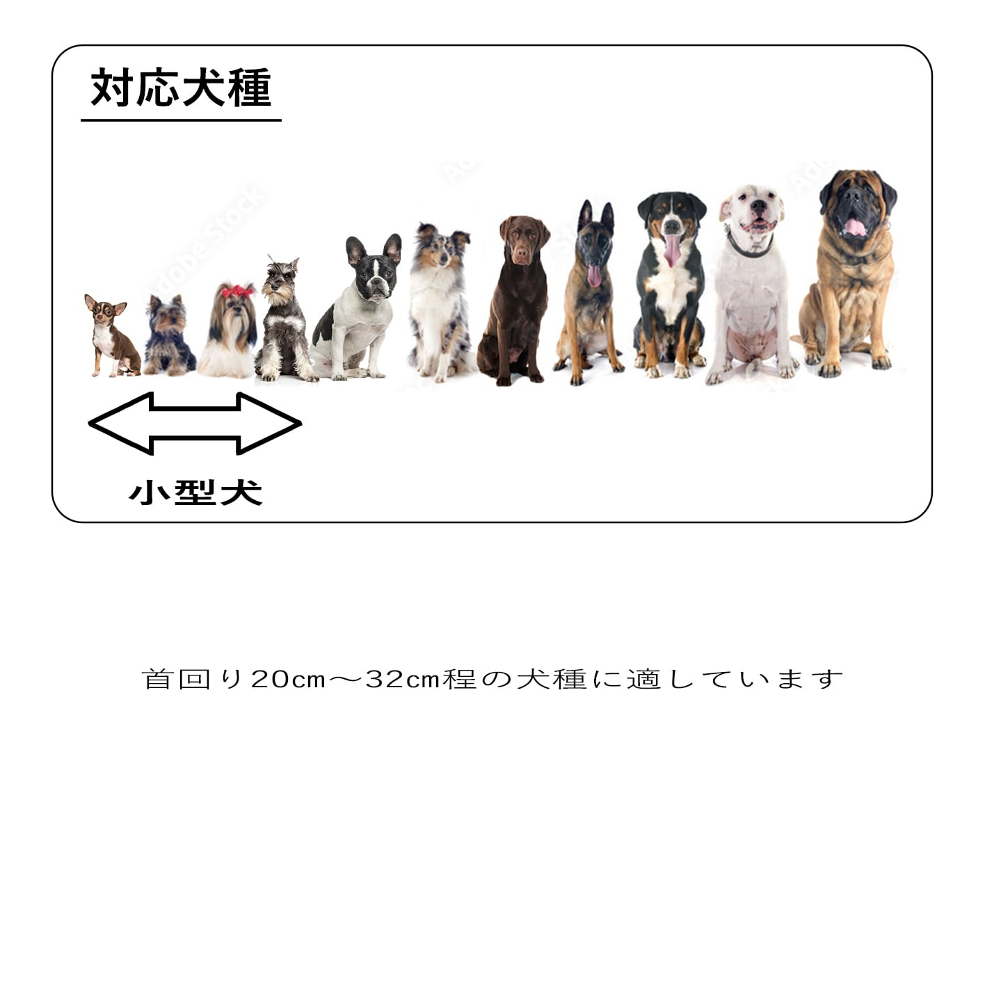 小型犬首輪 細めのオーバル型 革幅：最小15㎜幅 最大22㎜幅 | Five