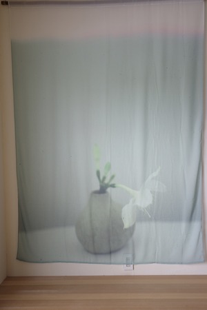 rūpa print curtain"All living things have meaning "29"